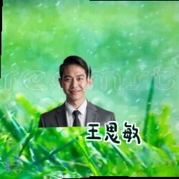王思敏